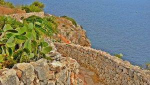 Sentieri e percorsi di trekking da fare in Salento