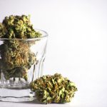 Cannabis: Benefici più che svantaggi