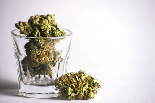 Cannabis: benefici più che svantaggi