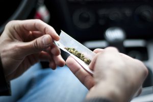 Marijuana legale scopriamo la differenze fra thc e cbd